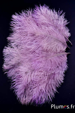 Struzzo barbules - 8-15 cm - rosso